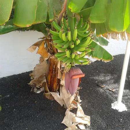 Apartment Livvo Erika (adults Only)