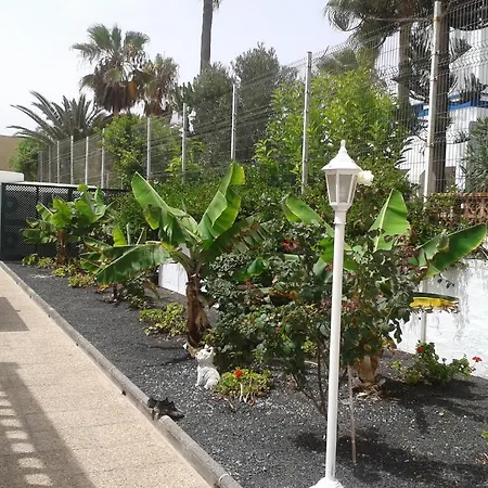 Apartment Livvo Erika (adults Only)