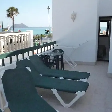 Livvo Erika (adults Only) *